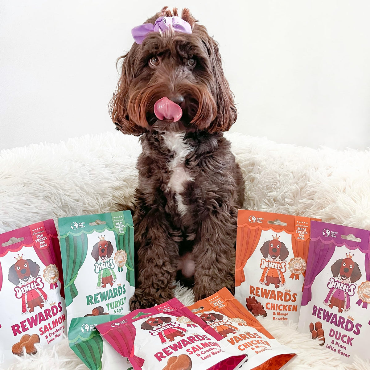 Denzel's Meaty Rewards - 70% Meat Natural Dog Treats - High Value Training Treats - Variety 4 Pack