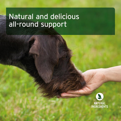 AniForte 4in1 Snack for Dogs 300 g - Natural Dog Treats for all-round support - joints, immune system, digestion, coat & skin, extra high meat content, grain-free