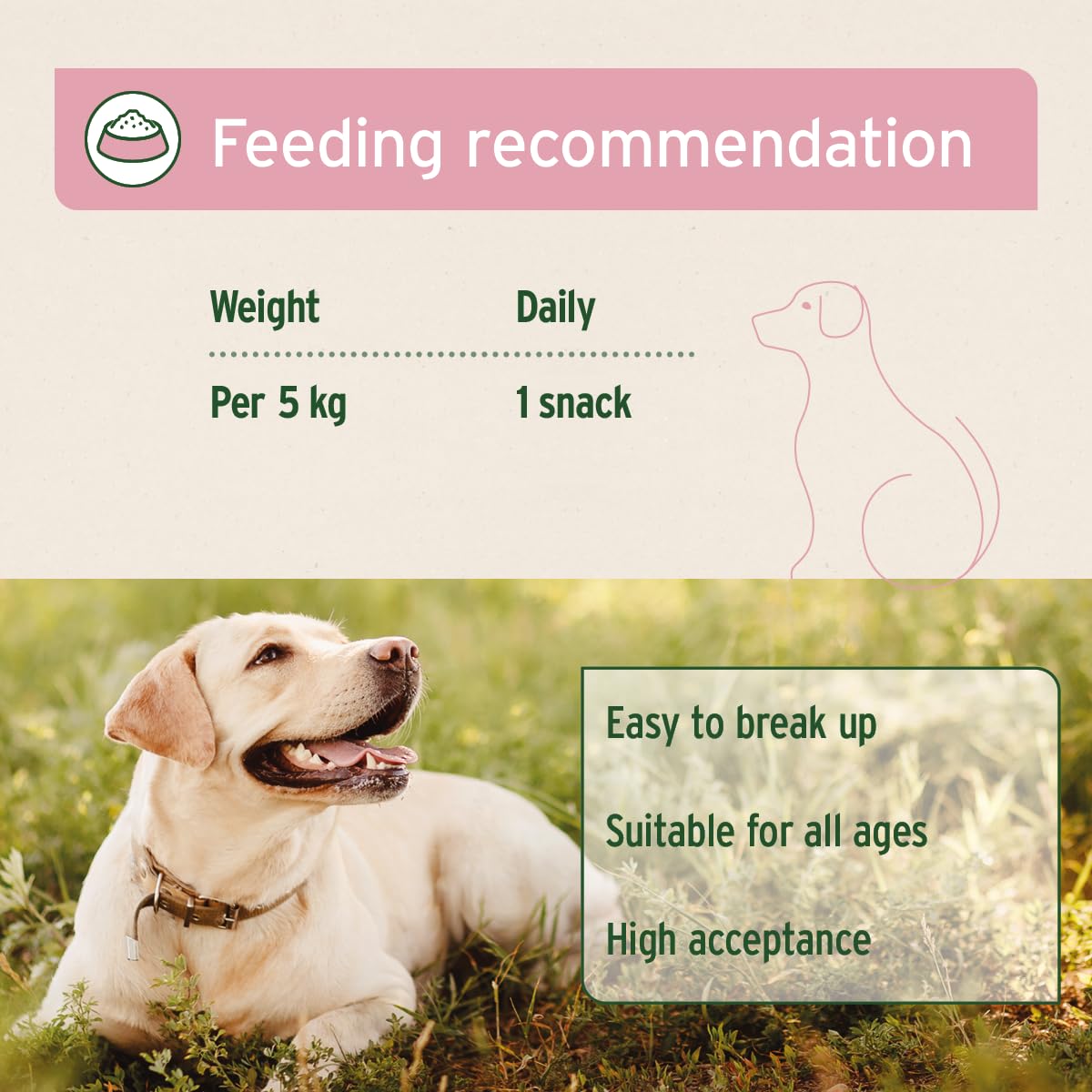 AniForte 4in1 Snack for Dogs 300 g - Natural Dog Treats for all-round support - joints, immune system, digestion, coat & skin, extra high meat content, grain-free