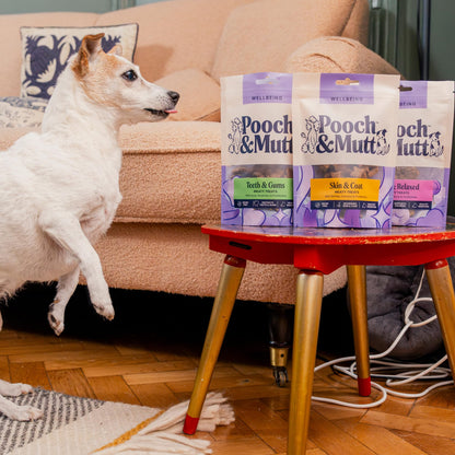 Pooch & Mutt - Meaty Dog Treats (Grain Free), Variety Set, Pack of 3x120g