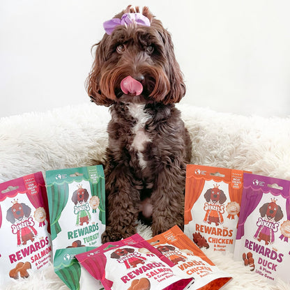 Denzel's Meaty Rewards - 70% Meat Natural Dog Treats - High Value Training Treats - Variety 4 Pack